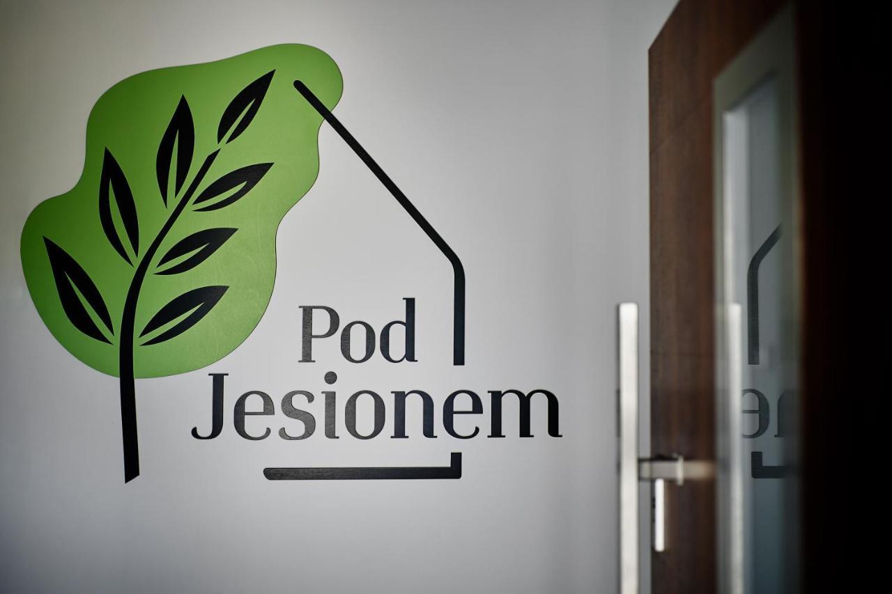 Апартаменты Dom Pod Jesionem Jaroszowice Экстерьер фото